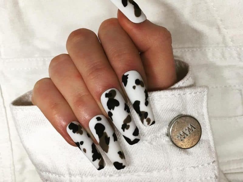 Cow Print