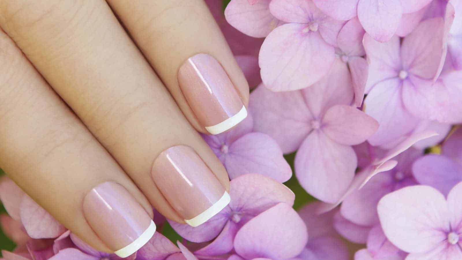 3. Quick French Manicure Ideas - wide 7