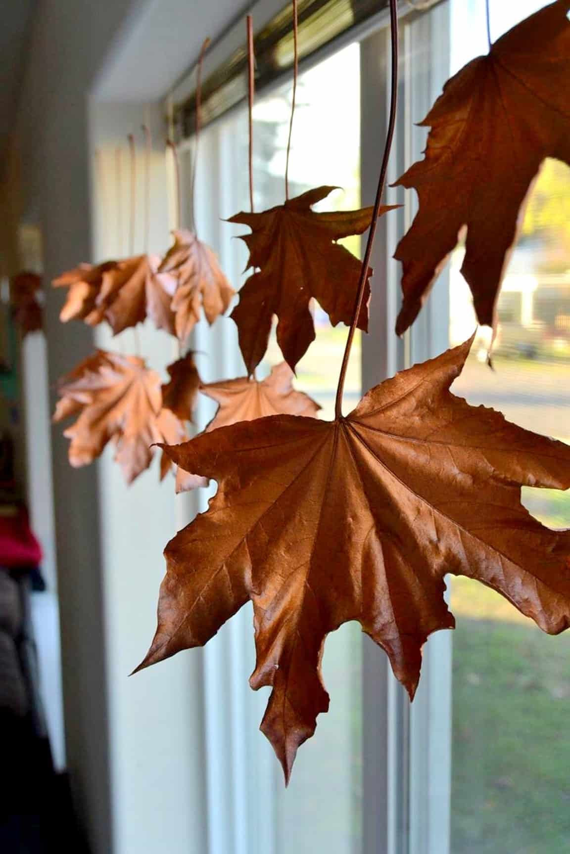 Floating Fall Leaves Garland