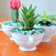 Teacup Succulent Planters