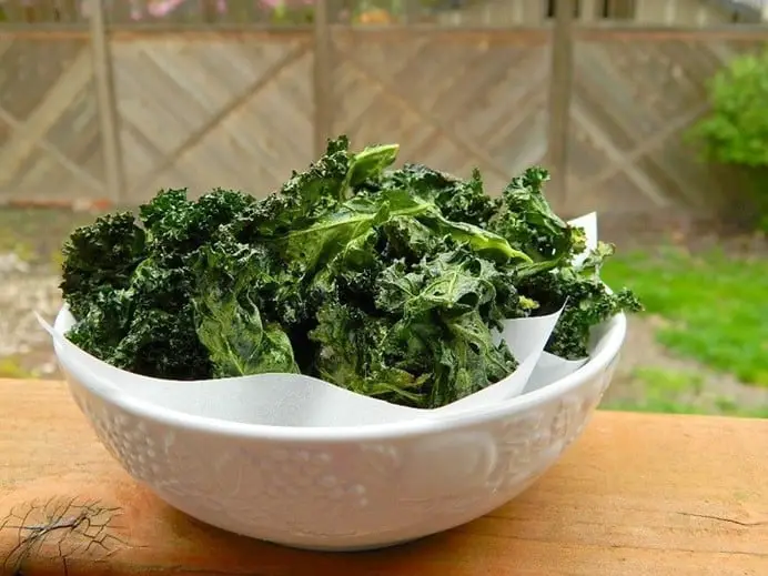 GARLIC KALE CHIPS