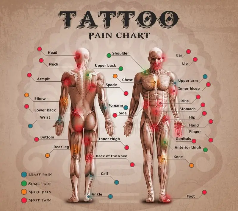 Tattoo Pain Chart: 5 Things You Need to Know - Tattooed Martha