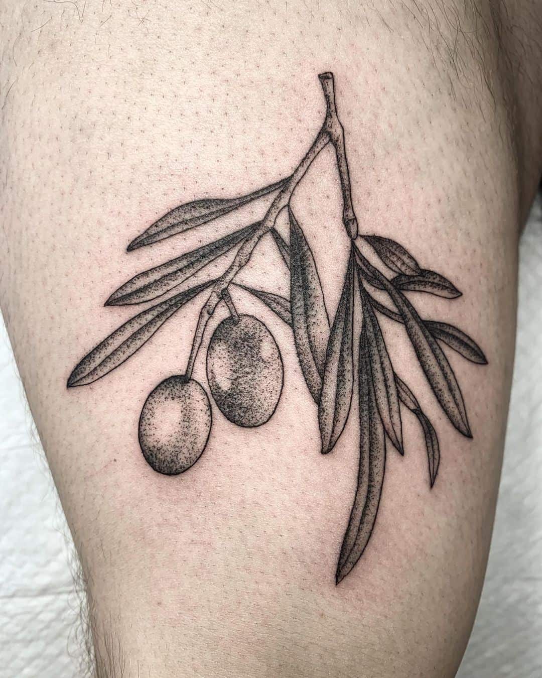 Arm Olive Branch Tattoo Black Ink