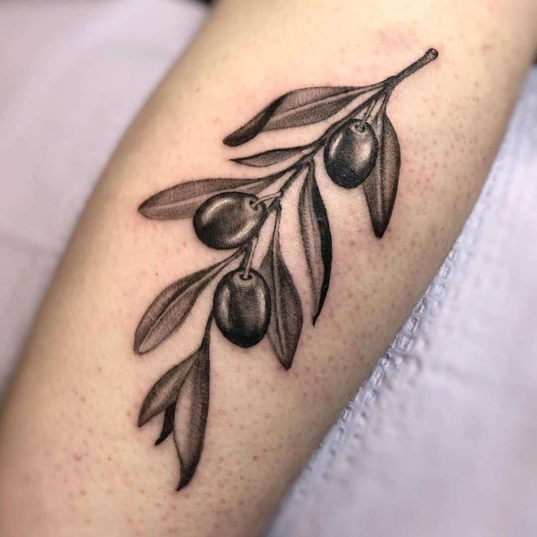 Detailed Greek Olive Branch Tattoo