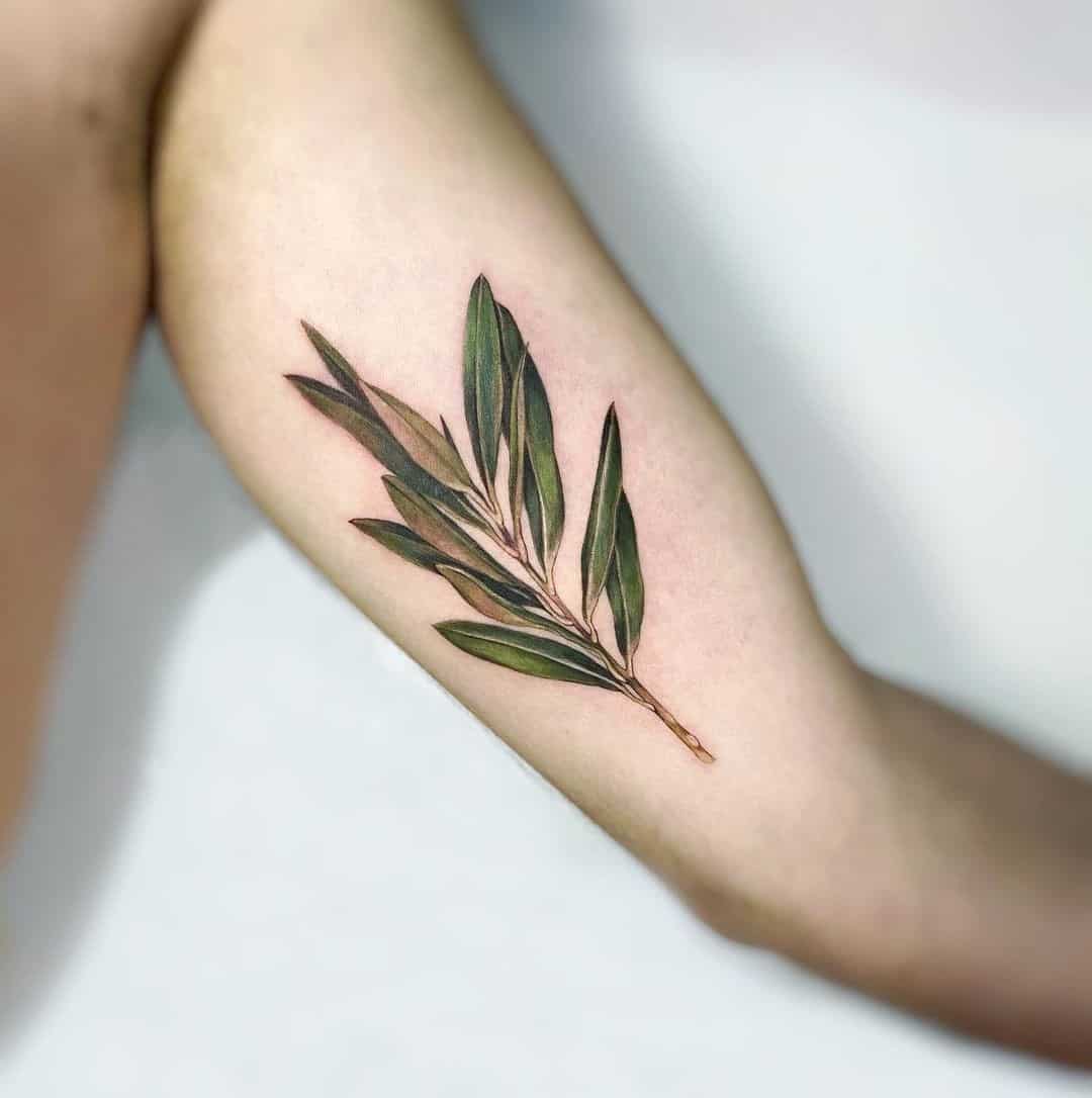 Olive Branch Tattoo Forearm