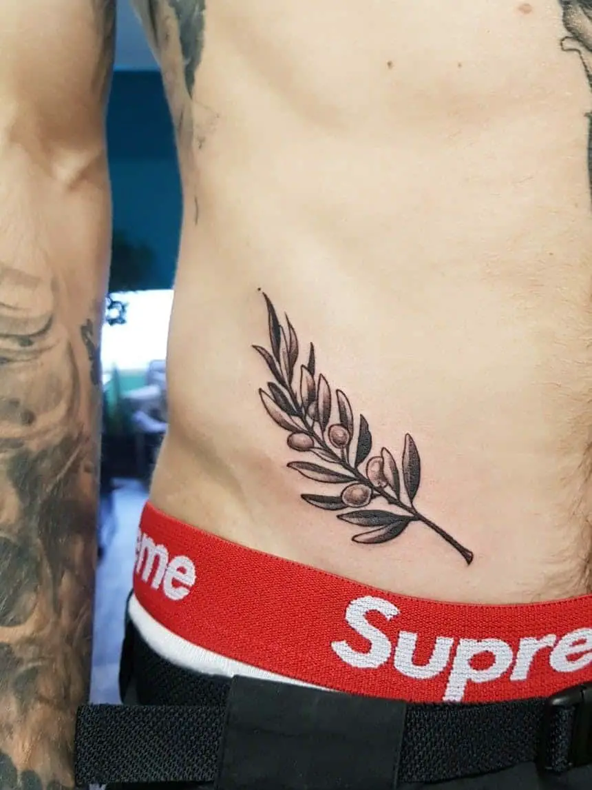 Olive Branch Tattoo Over Stomach 