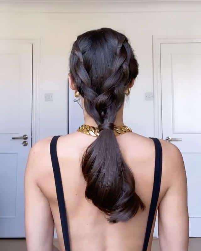 Short Pigtail Braids 3