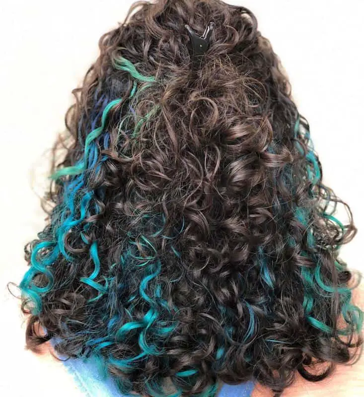 Blue Highlights On Black Curly Hair 1