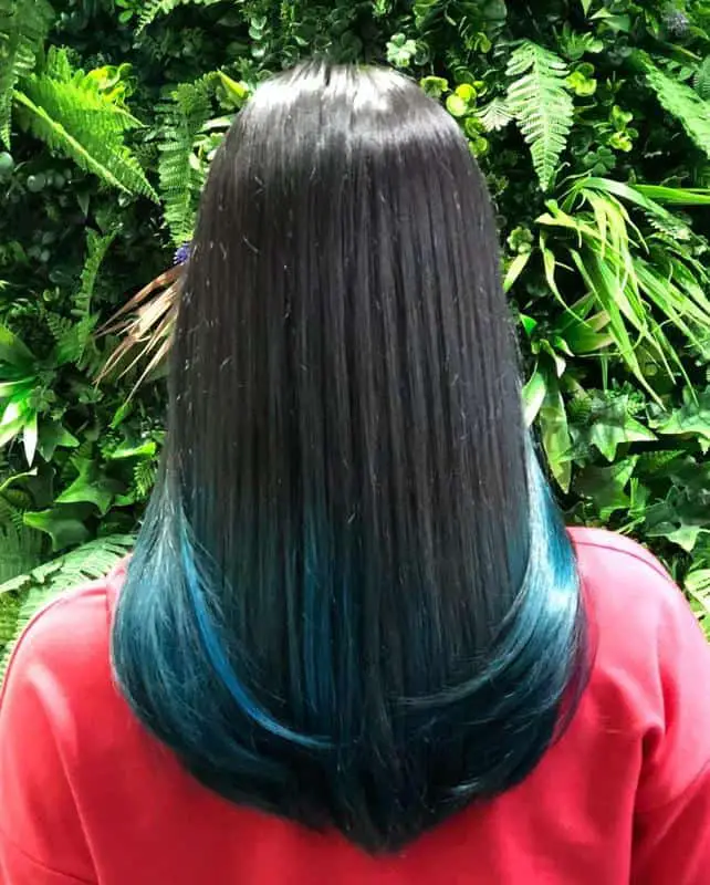 40 Best Blue Highlights on Black Hair Ideas (2023 Update) 21 Blue Lowlights Under Black Hair 3