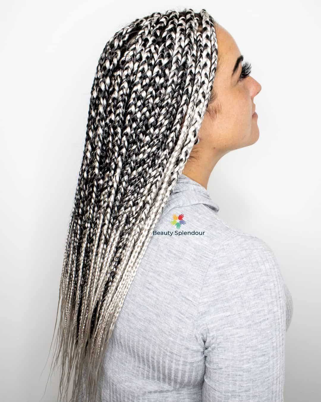 Braided Gray Hair 