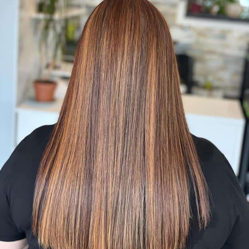Chocolate Hair With Strawberry Blonde Highlights 1