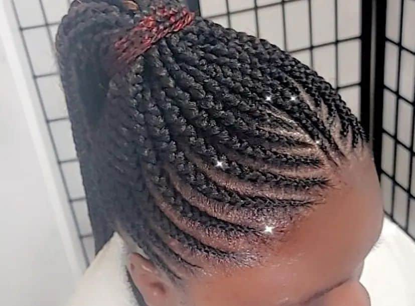 Top 30 Gorgeous Crocheting HairStyles (Short, Medium And Long Hair) 8 Crochet Hair Braid Pony