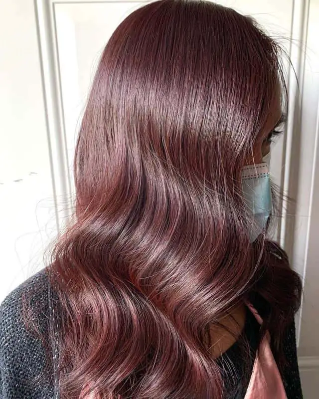 Dark Brown Red Hair 1