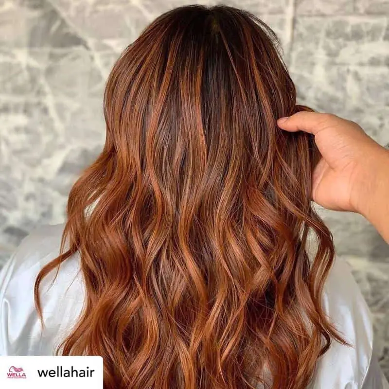 70+ Bold Dark Red Hair Styles: Latest Trends To Rock In 2022 64 Dark Ginger Hair 1