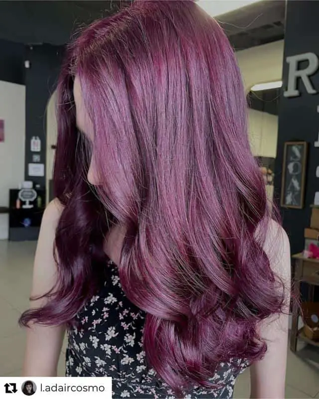 Dark Purple Red Hair 1