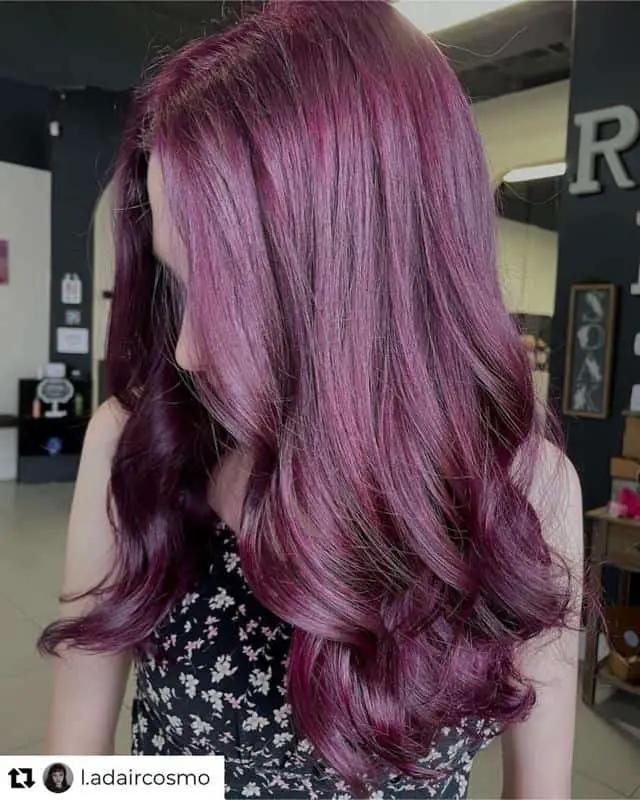70+ Bold Dark Red Hair Styles: Latest Trends To Rock In 2022 39 Dark Purple Red Hair 1