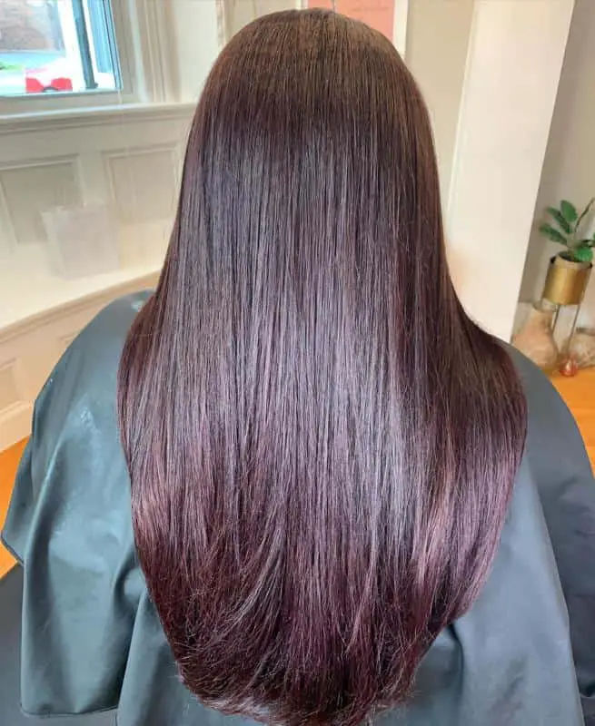 Dark Purple Red Hair 2