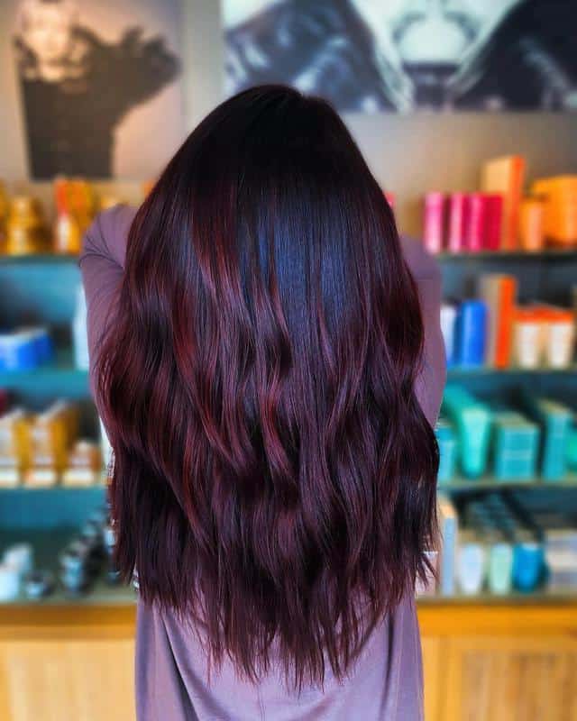 Red Highlights on Brown Hair: 40+ Most Trendy Ideas to Try Out 10 Deep Burgundy Highlights 1
