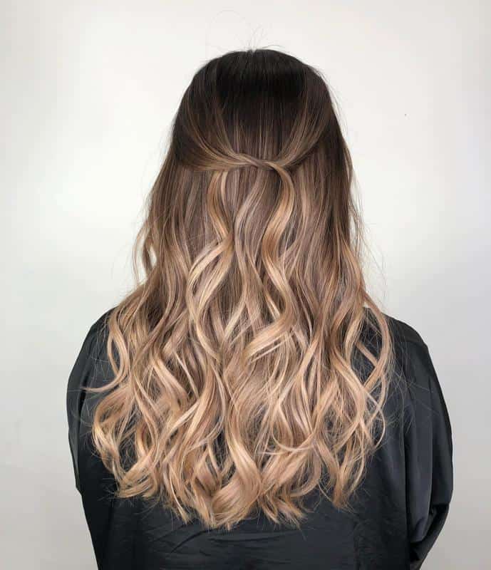 Light Brown With Blonde Highlights 1