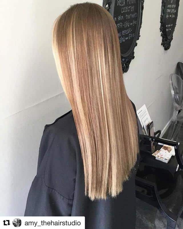 Light Brown With Blonde Highlights 2