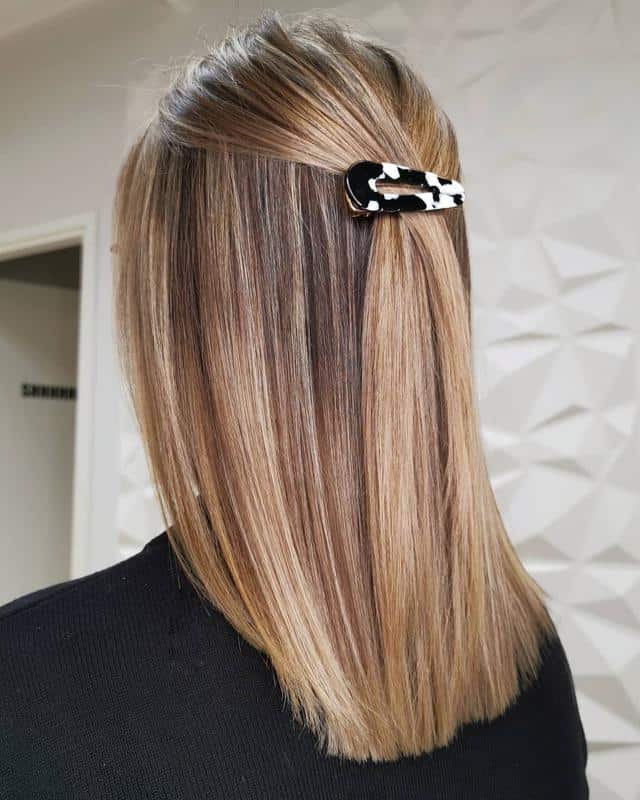 Light Brown With Blonde Highlights 3