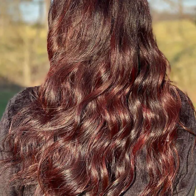 Red Highlights on Brown Hair: 40+ Most Trendy Ideas to Try Out 16 Mahogany Highlights 2