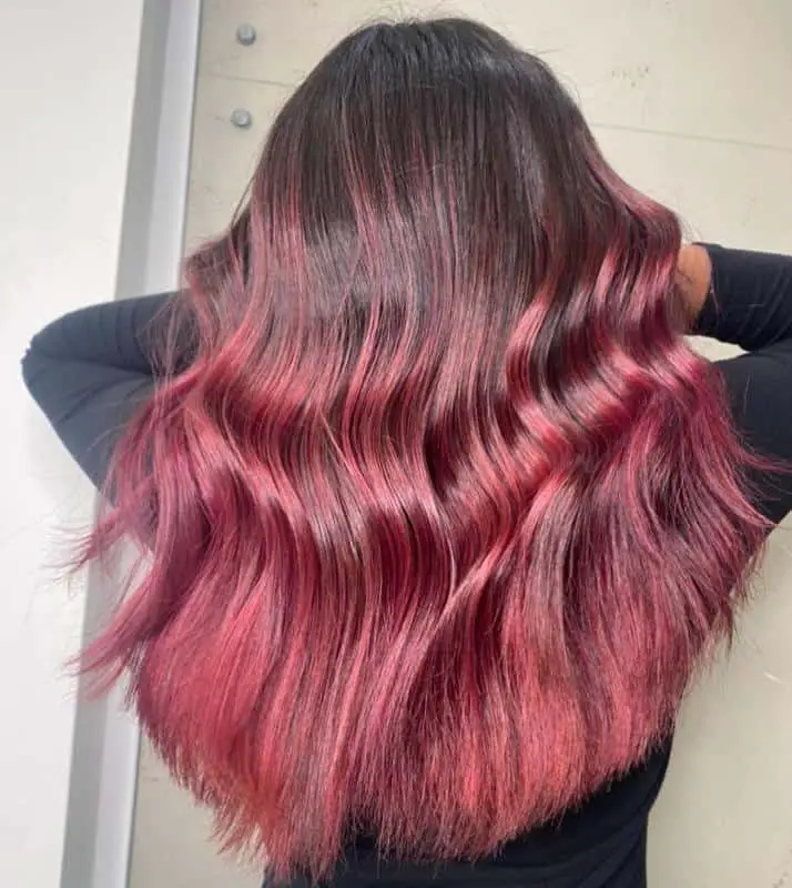 Raspberry Dark Red Hair 3