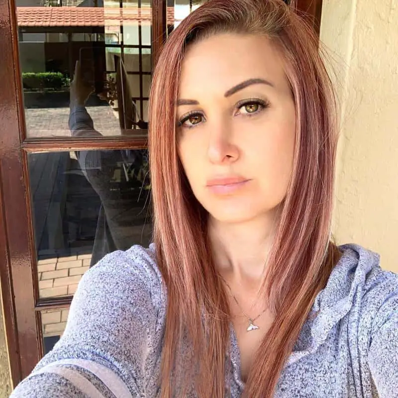70+ Bold Dark Red Hair Styles: Latest Trends To Rock In 2022 50 Red and Blonde Highlights on Dark Hair 2
