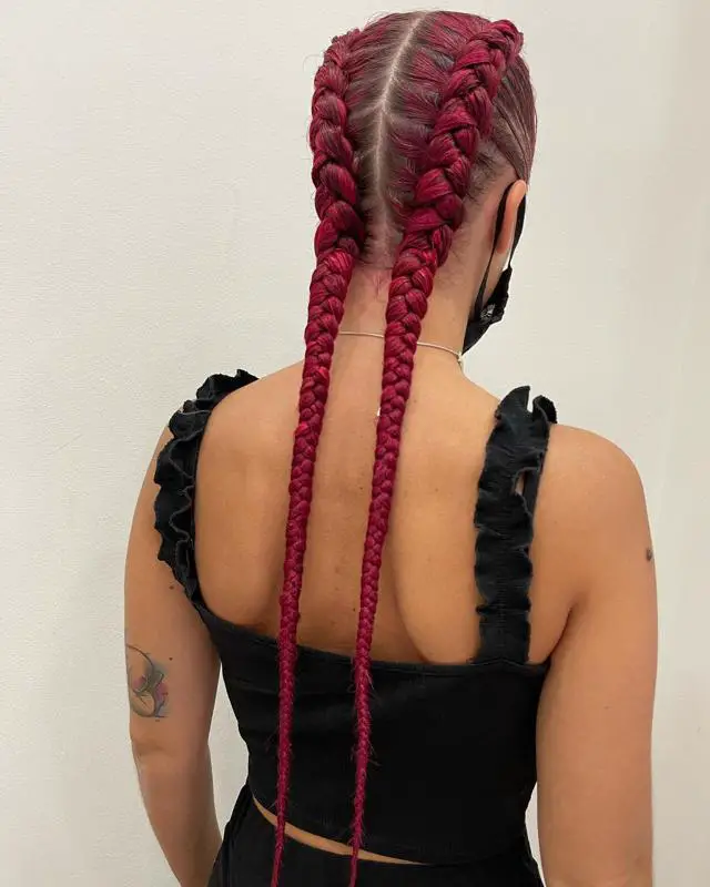 Red Highlights on Brown Hair: 40+ Most Trendy Ideas to Try Out 47 Red Braids 1