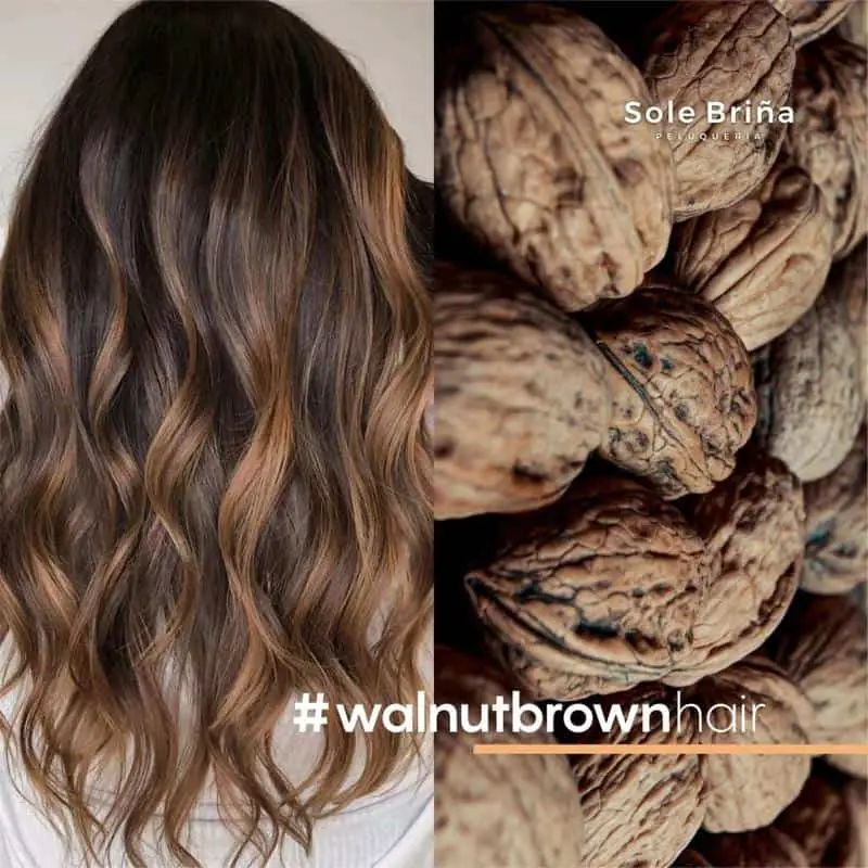 Shiny Walnut Brown With Balayage Effect 2