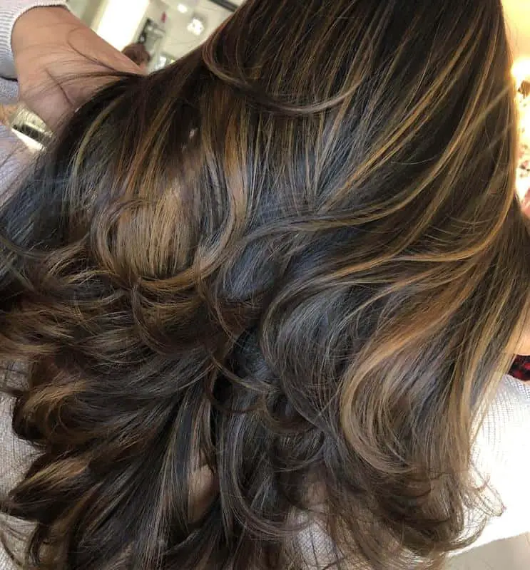 Tortoiseshell Brown Hair With Honey Blonde Highlights 1