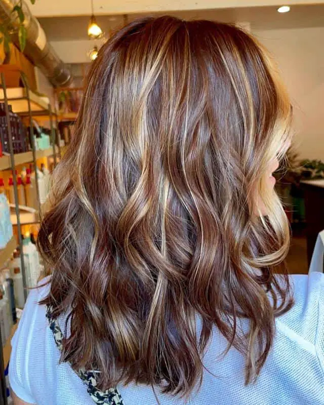 Tortoiseshell Brown Hair With Honey Blonde Highlights 3