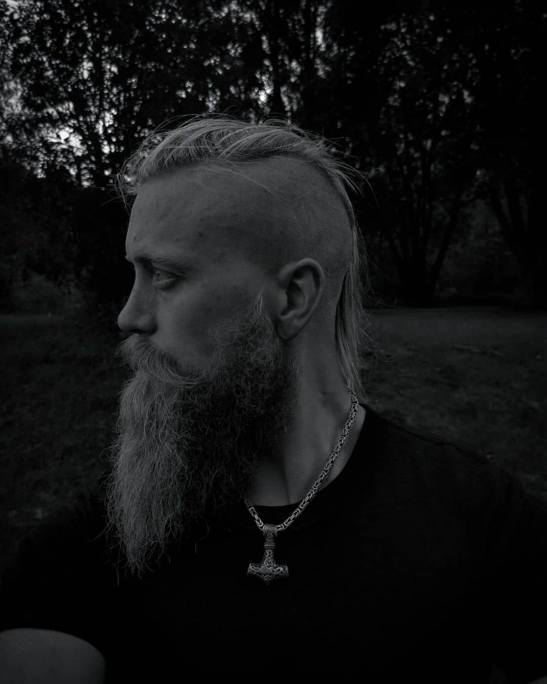 Top 30 Best Viking Hairstyle Ideas For Men (2023 Update) 2 Viking Hairstyle FAQ