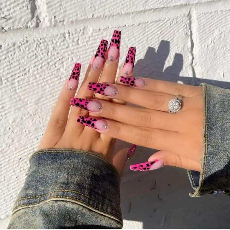 60 Elegant French Tip Nail For A Super Trendy Manicure (2023 Update) 58 Animal Print French Nail Design 2
