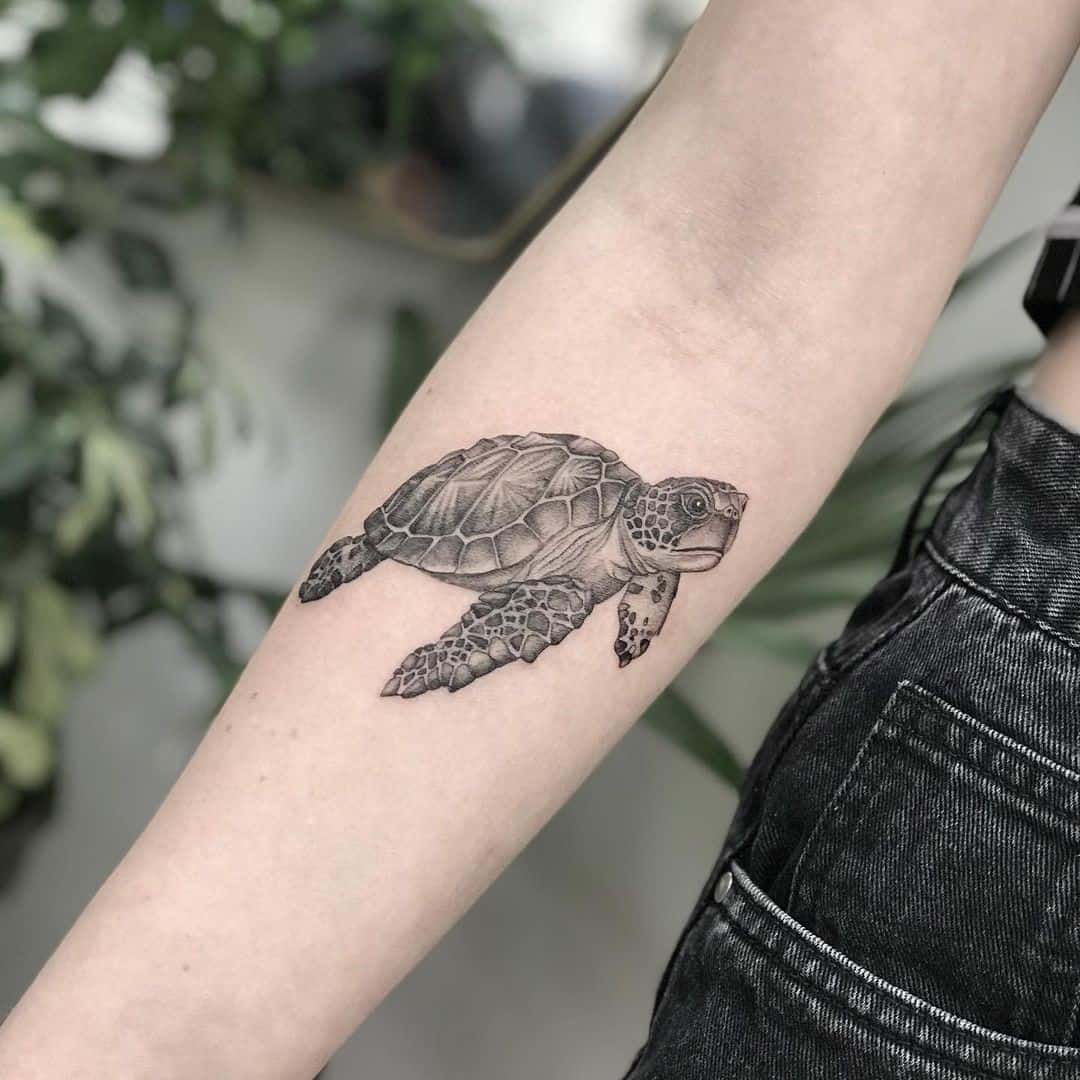 Arm Sea Turtle Tattoo Designs 