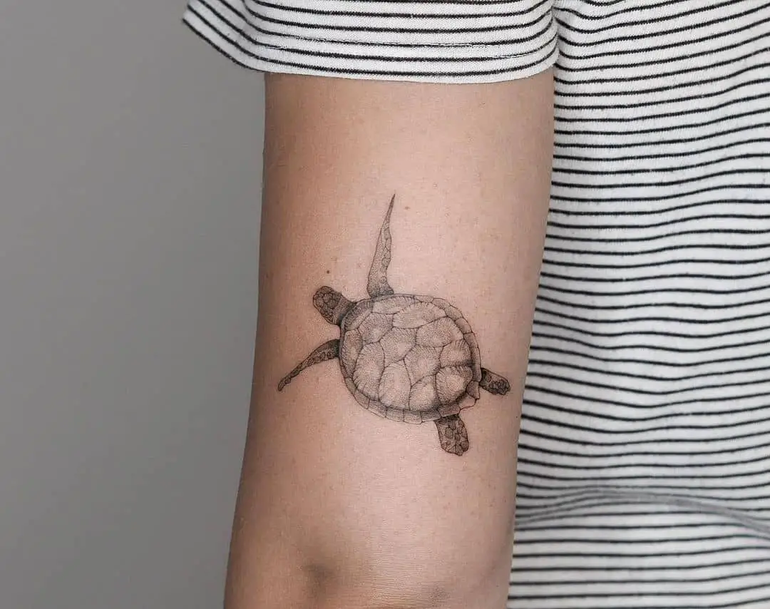 Black Sea Turtle Tattoo Arm Ink 
