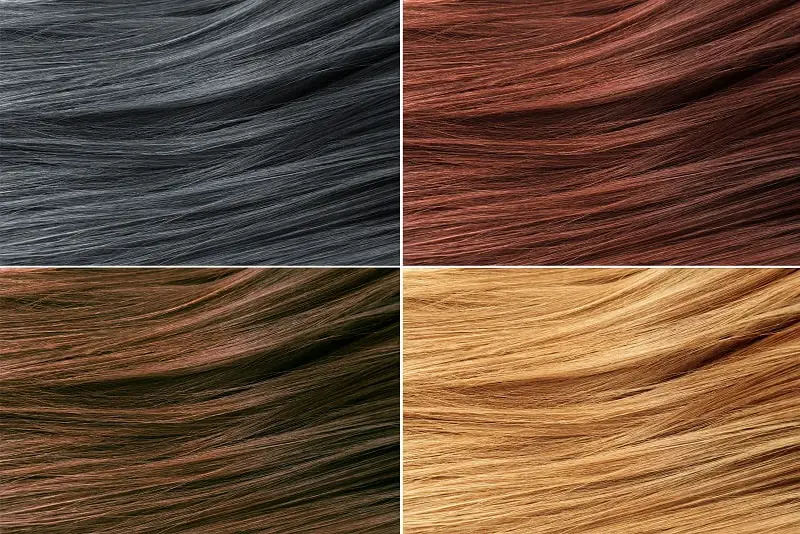 Blonde, Red, Brown and Black