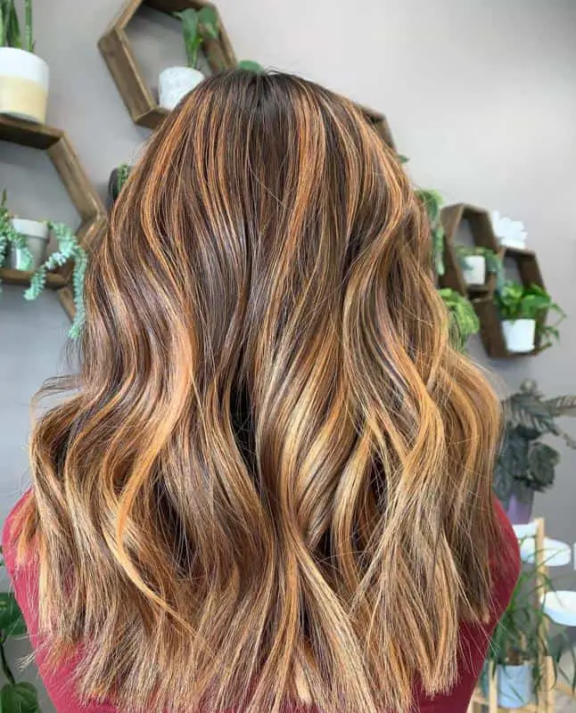 Copper And Blond Lowlights 2