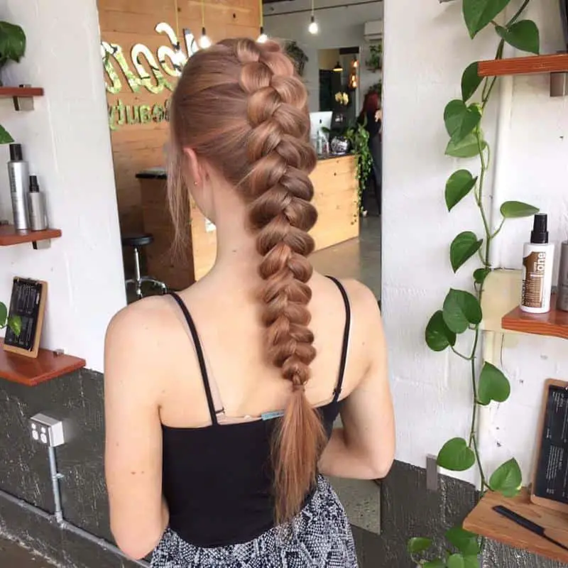 Dutch Braids 1