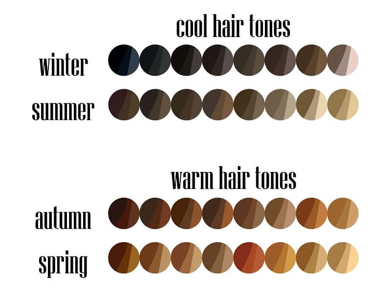 Hair Color Chart: Matching Hair Colors to Your Skin Tone (2023 Update) 4 Hair Tones For Different Season