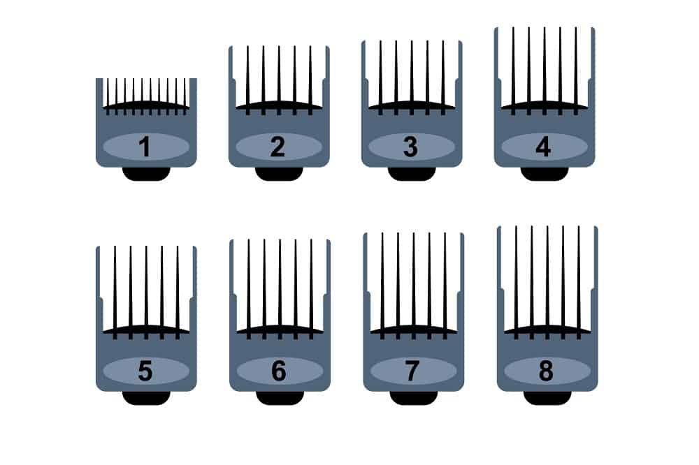 Hair Clipper Sizes  8 Haircut Numbers  Examples