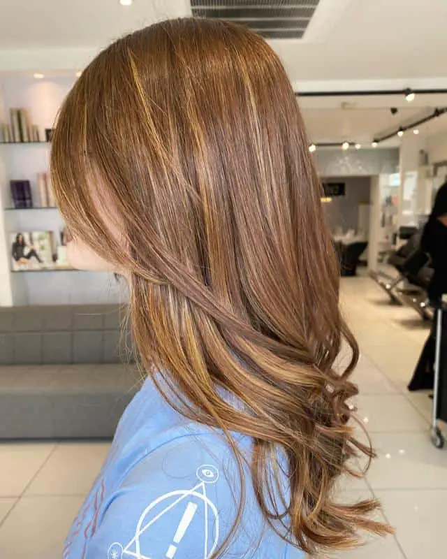 Reddish Blond Hair With Highlights 3