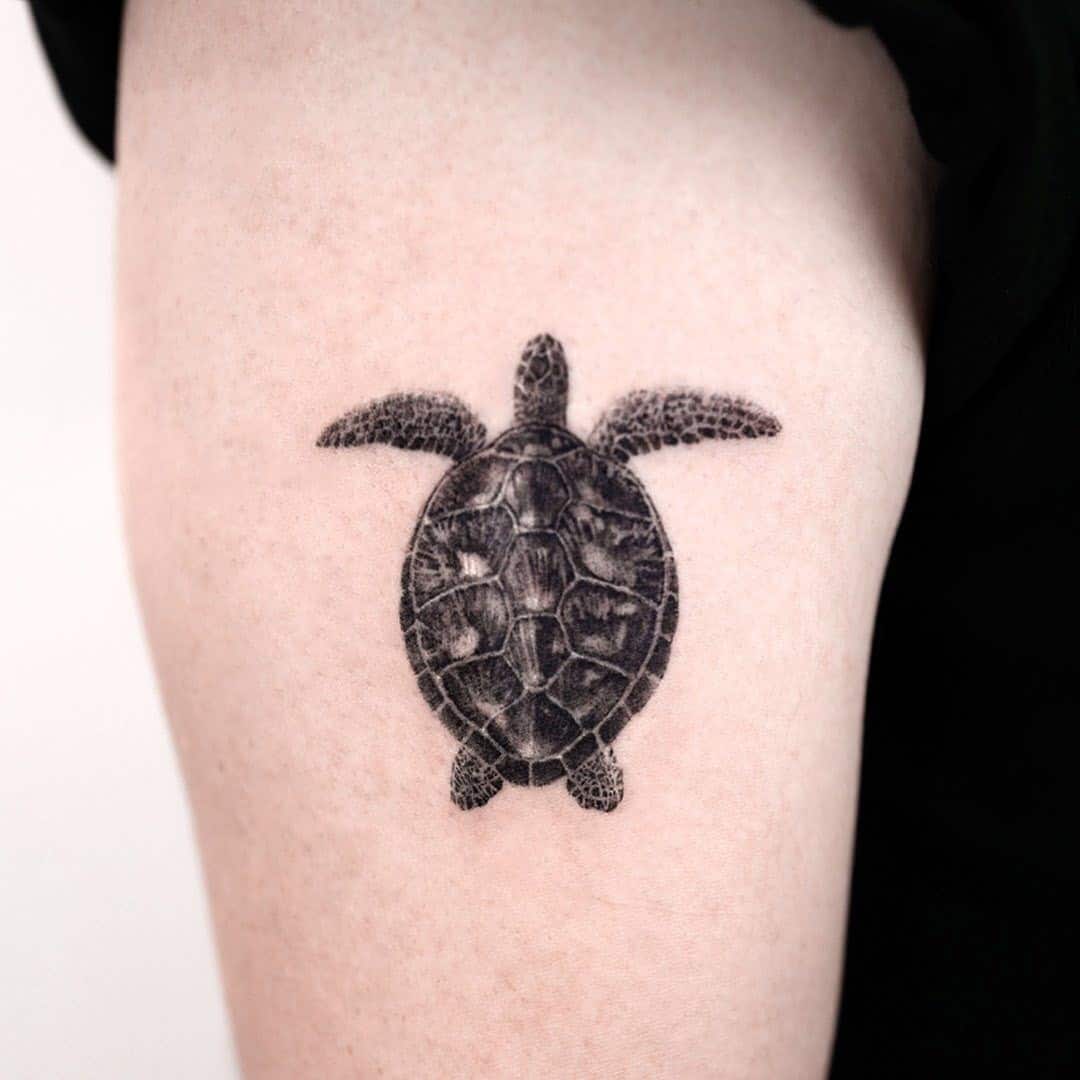 Sea Turtle Tattoo Black And White 
