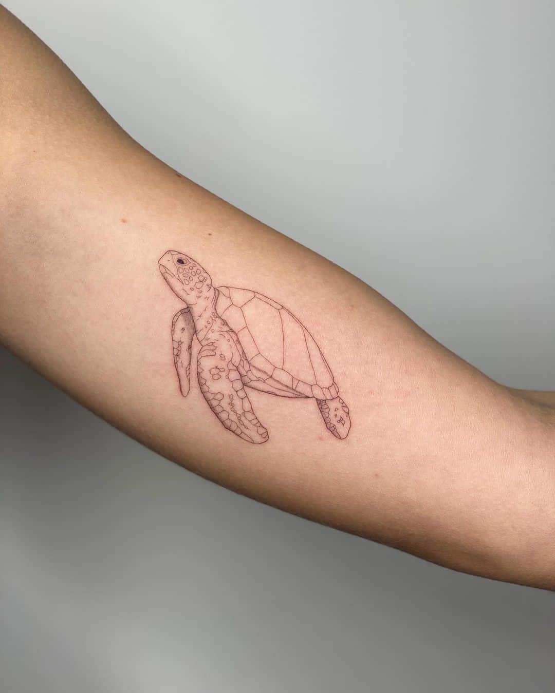Simple Sea Turtle Tattoo 