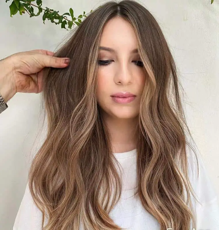 30+ Low Maintenance Haircuts for Thick Hair (2023 Update) 21 Sombre Hair Color