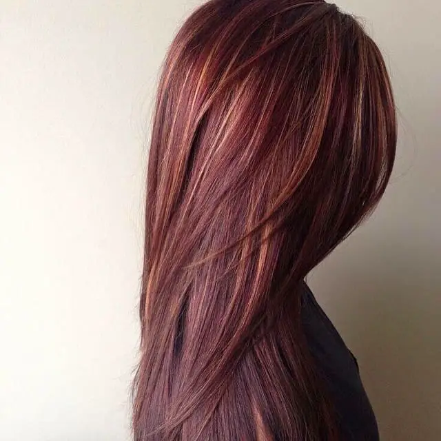 Straight Dark Red Hair With Caramel Highlights 1