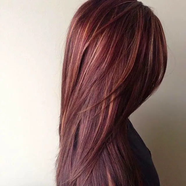 70+ Red Hairstyle With Highlights, Lowlights and Balayage (2023 Update) 2 Straight Dark Red Hair With Caramel Highlights 1