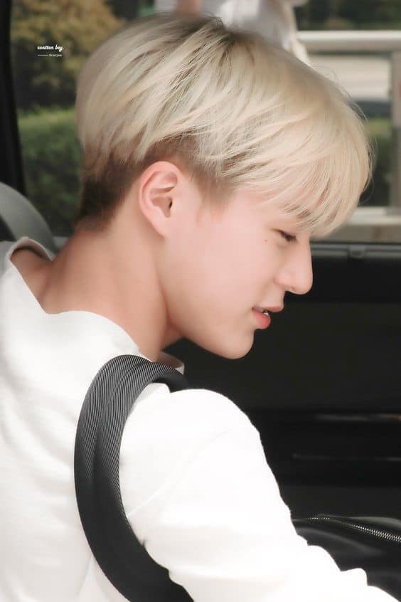 Most Stylish Two-Block Haircut Designs: Creative Advice For Trendy Men 18 Two-Block Design In White Blonde and V-shaped Fringe 1