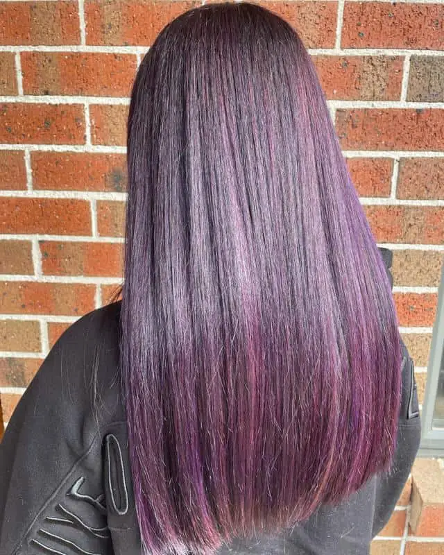 Violet Highlights On Black Hair 2