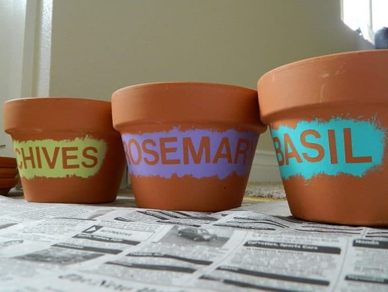 DIY PAINTED TERRACOTTA POTS